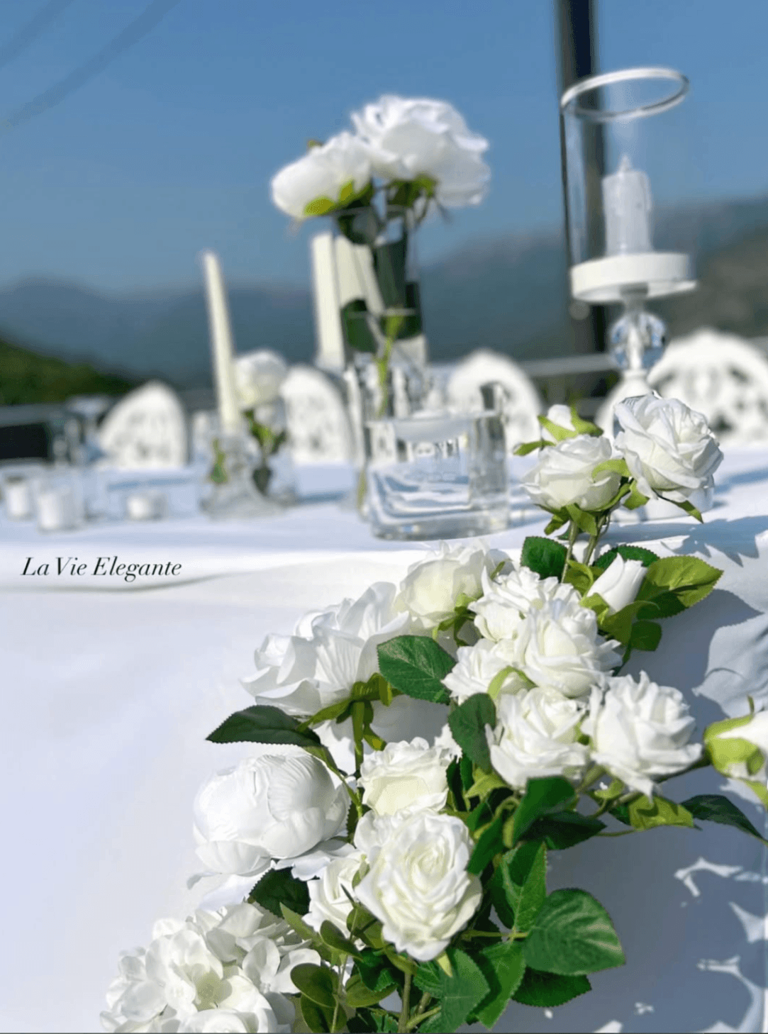 La Vie Elegante fotografija 3