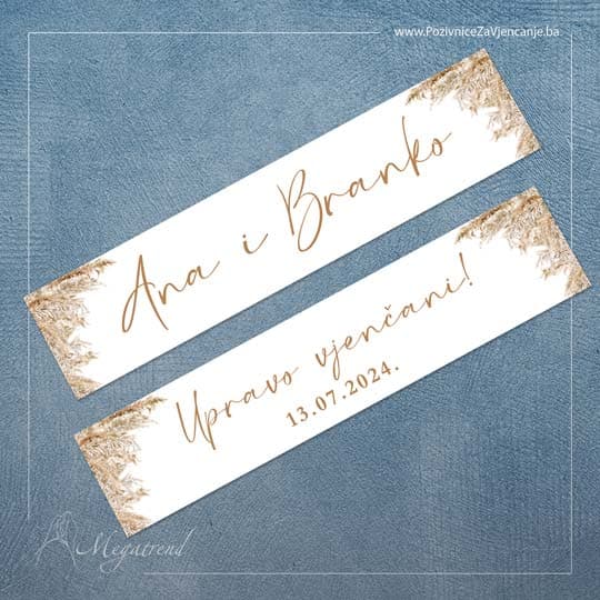 Pozivnice Megatrend 36