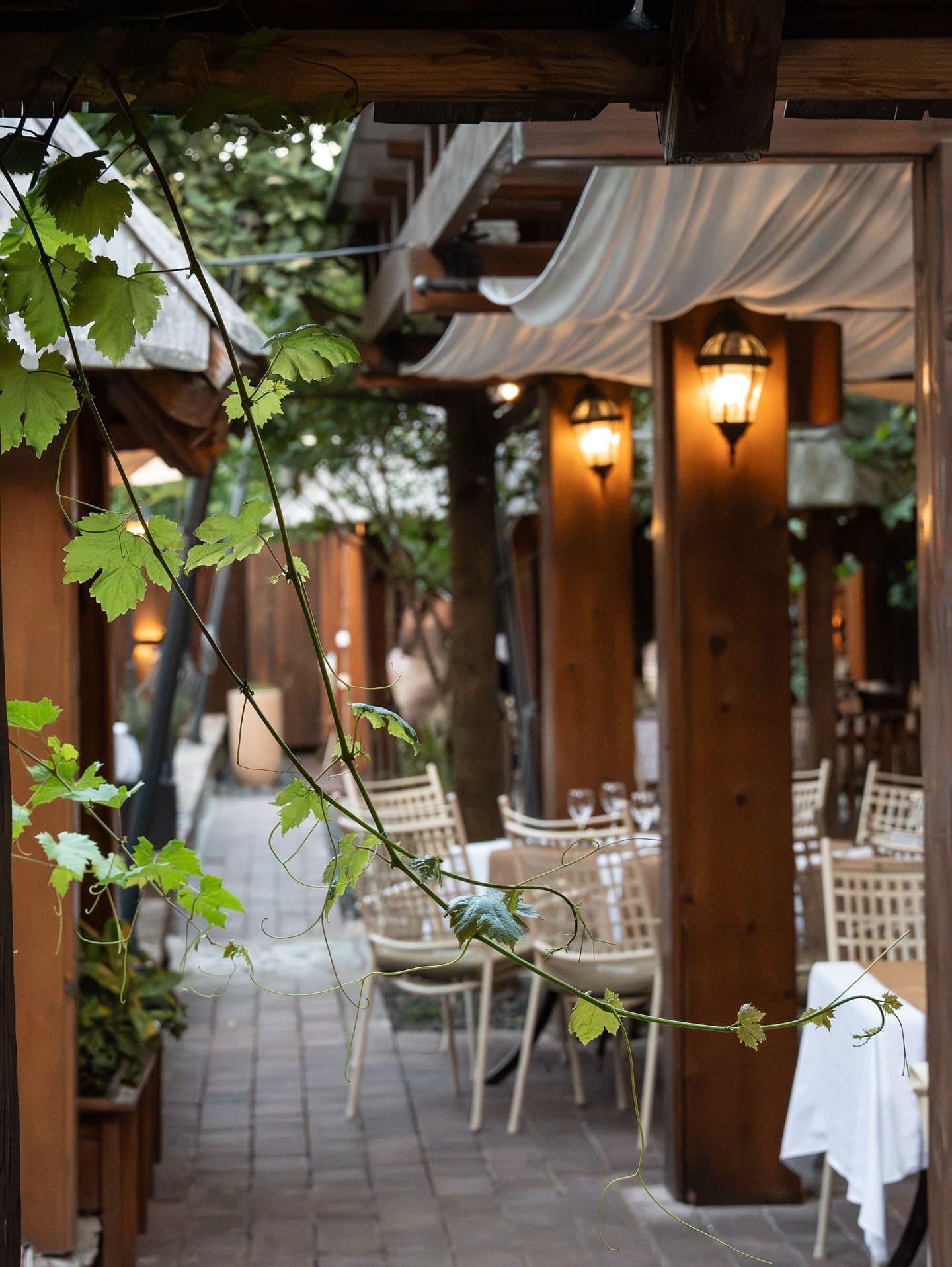 Restoran Stara Ada fotografija 2