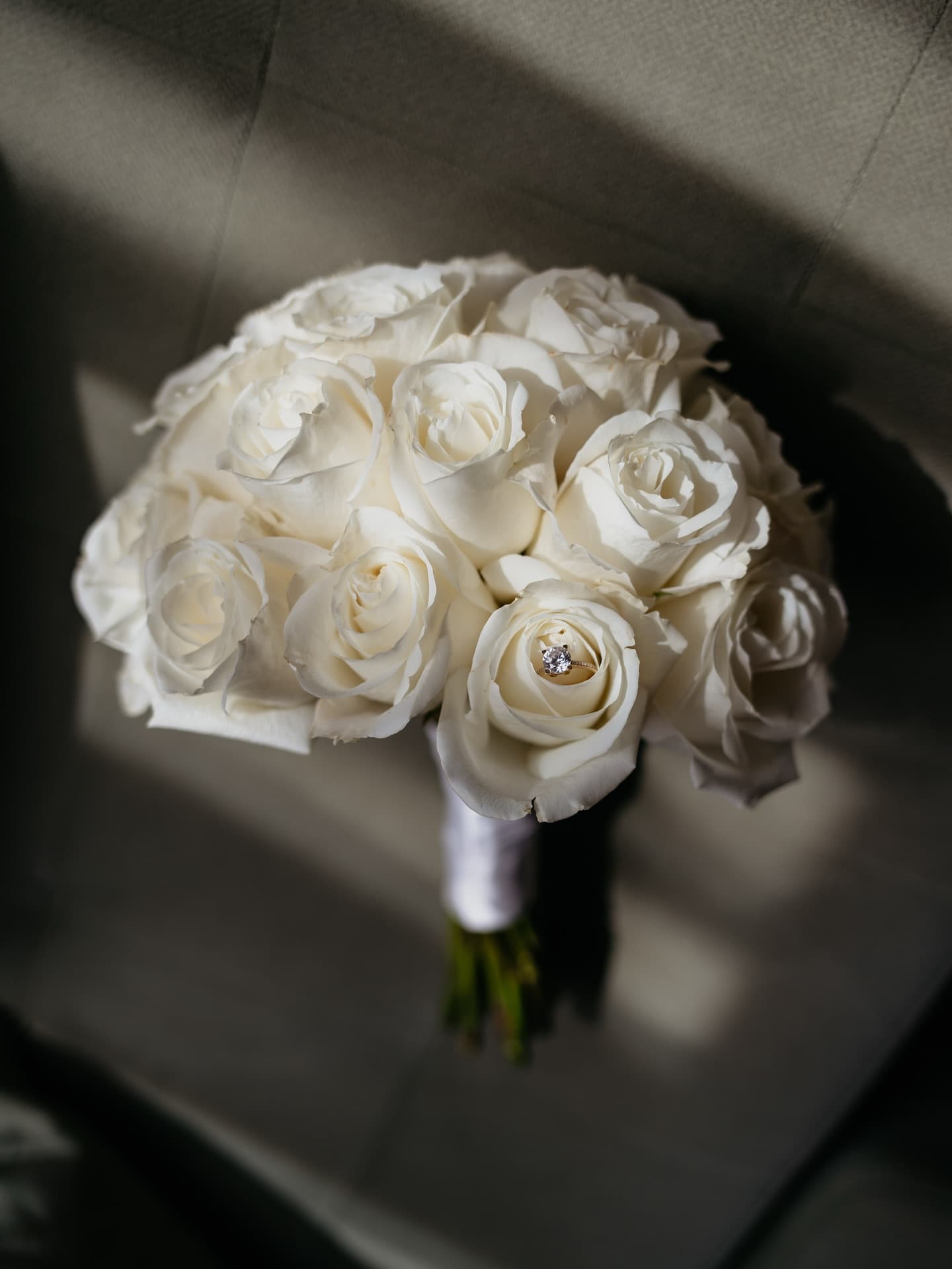 Dušan Vučenović Photography 32