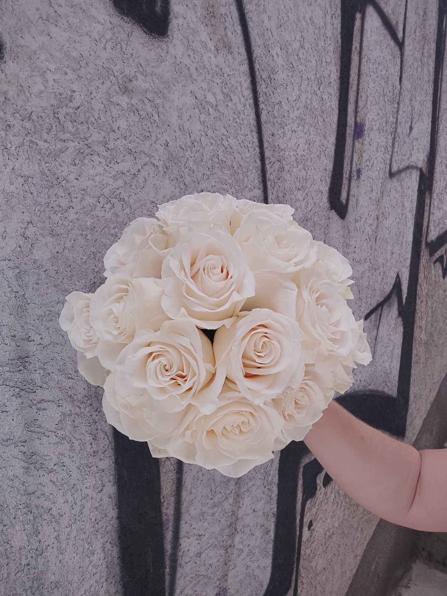 Mala kuća cvijeća 11