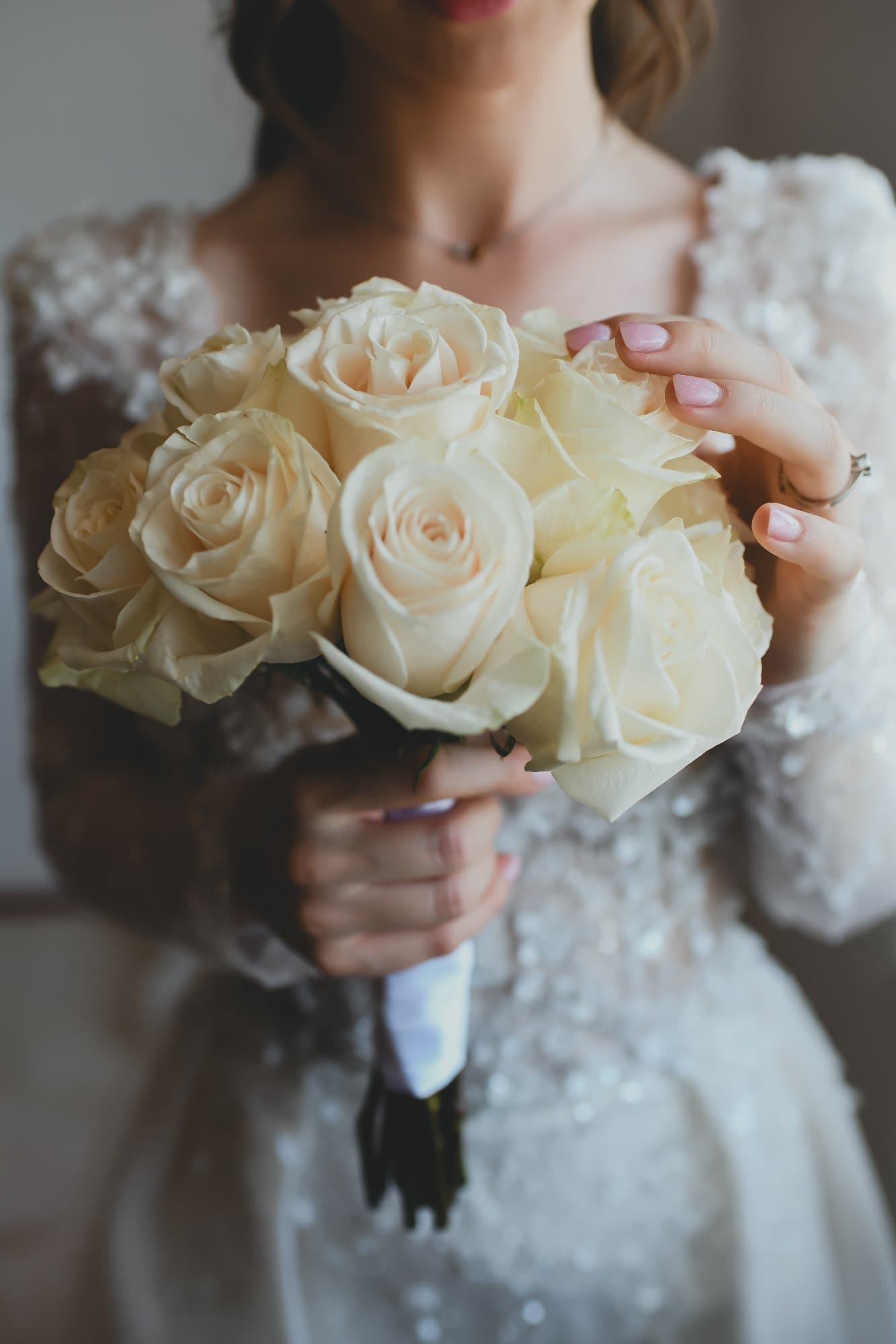 Foto Dragana - Dragana Dušanić