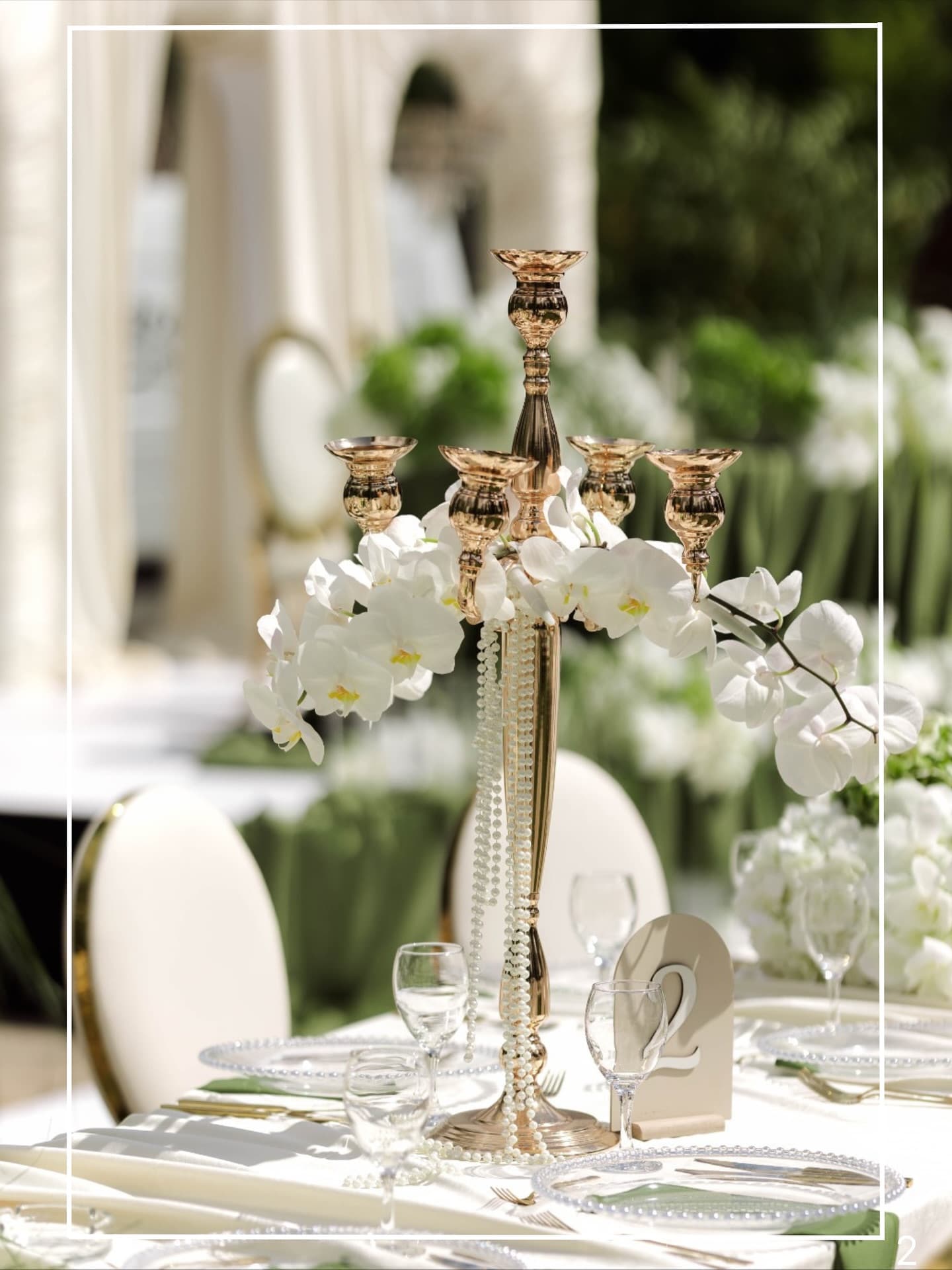 Kamelija Wedding fotografija 4